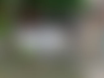 SOSPENSIONE CONTRIBUTI INPGI PER GLI ALLUVIONATI