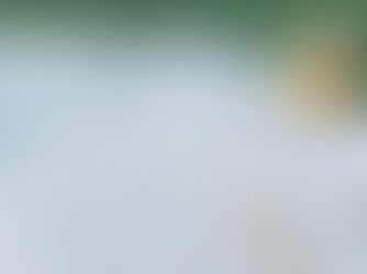 DAL 2026 NUOVO REGIME FORFETTARIO PER ODV E APS: SOGLIA A 85 MILA EURO