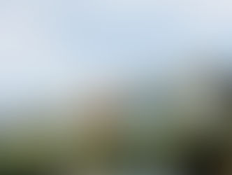 CRESCITA DELLE COMPRAVENDITE IMMOBILIARI NEL 4° TRIMESTRE 2024