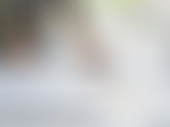 NULLITA' E ANNULLABILITA' DELL'APPROVAZIONE DEL BILANCIO