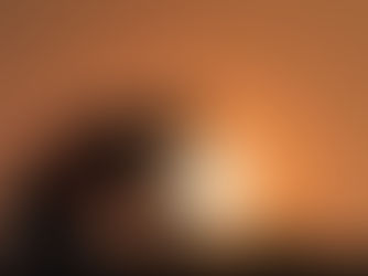 BONUS EDILIZI UTILIZZABILI IN COMPENSAZIONE CON I CONTRIBUTI PREVIDENZIALI