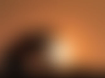 SANZIONI PER APPALTI E DISTACCHI ILLECITI