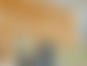 ALIQUOTE IVA AGEVOLATE PER LA COSTRUZIONE DI ABITAZIONI: EFFETTI DELLE CLASSIFICAZIONI CATASTALI