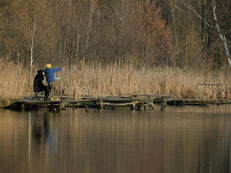 CONGEDO DI PATERNITA': CRESCITA DELLE ADESIONI MA PERSISTONO DISUGUAGLIANZE