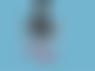 LIQUIDAZIONE CONTROLLATA E IMPRESE MINORI: ONERE DELLA PROVA E INDICI DISTINTIVI