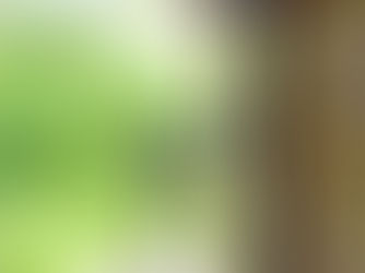 MUTUI: IL TAGLIO DEI TASSI BCE PORTA RISPARMI FINO A 200 EURO A RATA