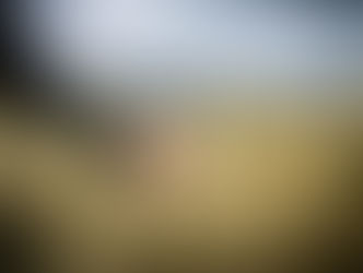 SGRAVI CONTRIBUTIVI PER LE PMI AGRICOLE: VIA LIBERA ALLE DOMANDE