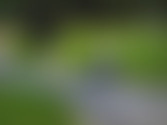 APE SOCIALE PROROGATA AL 2026: REQUISITI, CATEGORIE E NUMERI DELLA MISURA