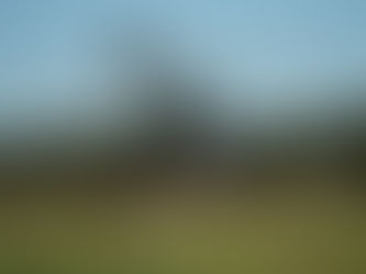 TREGUA USA-IRAN: RIMBALZO DEI MERCATI E CALO DEL PETROLIO