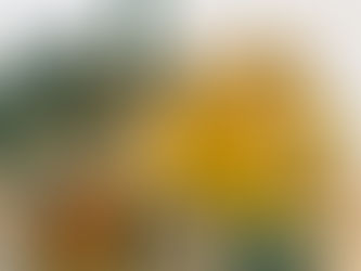 PREZZO OLIO EXTRAVERGINE: +30% NEL 2024