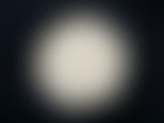 RISO ITALIANO SOTTO PRESSIONE: IMPORT A DAZIO ZERO E PREZZI INSOSTENIBILI PER LA FILIERA