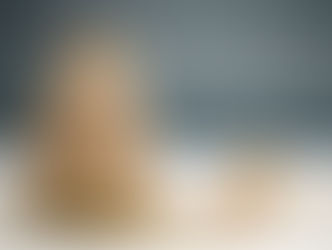 DEBITI DELLA SOCIETA' DI CAPITALI SENZA SOLIDARIETA'