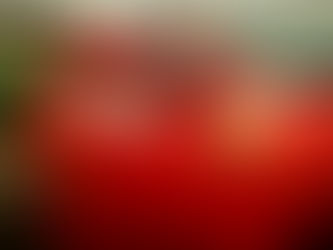 FERRARI: RICAVI IN CRESCITA E PERFORMANCE RECORD NEL TERZO TRIMESTRE 2025