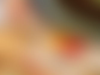 DESERTIFICAZIONE BANCARIA E SVILUPPO DIGITALE: MENO SPORTELLI MA PIÙ ACCESSO AI SERVIZI FINANZIARI