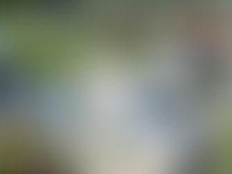 MILANO RESTA UN MERCATO IMMOBILIARE SOLIDO NEL CONTESTO GLOBALE