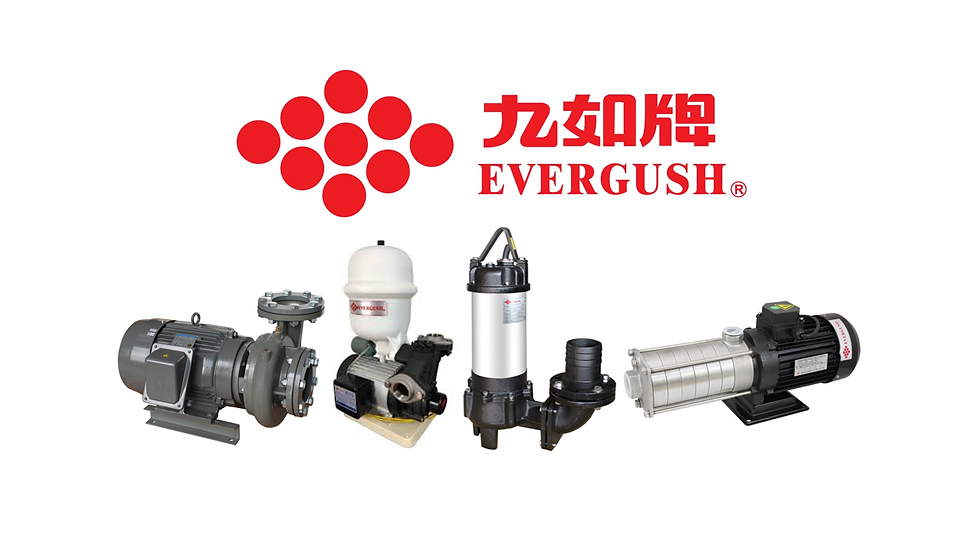 Evergush Pump (Taiwan)