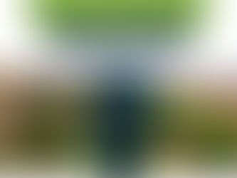 O papel das árvores vai muito além da estética