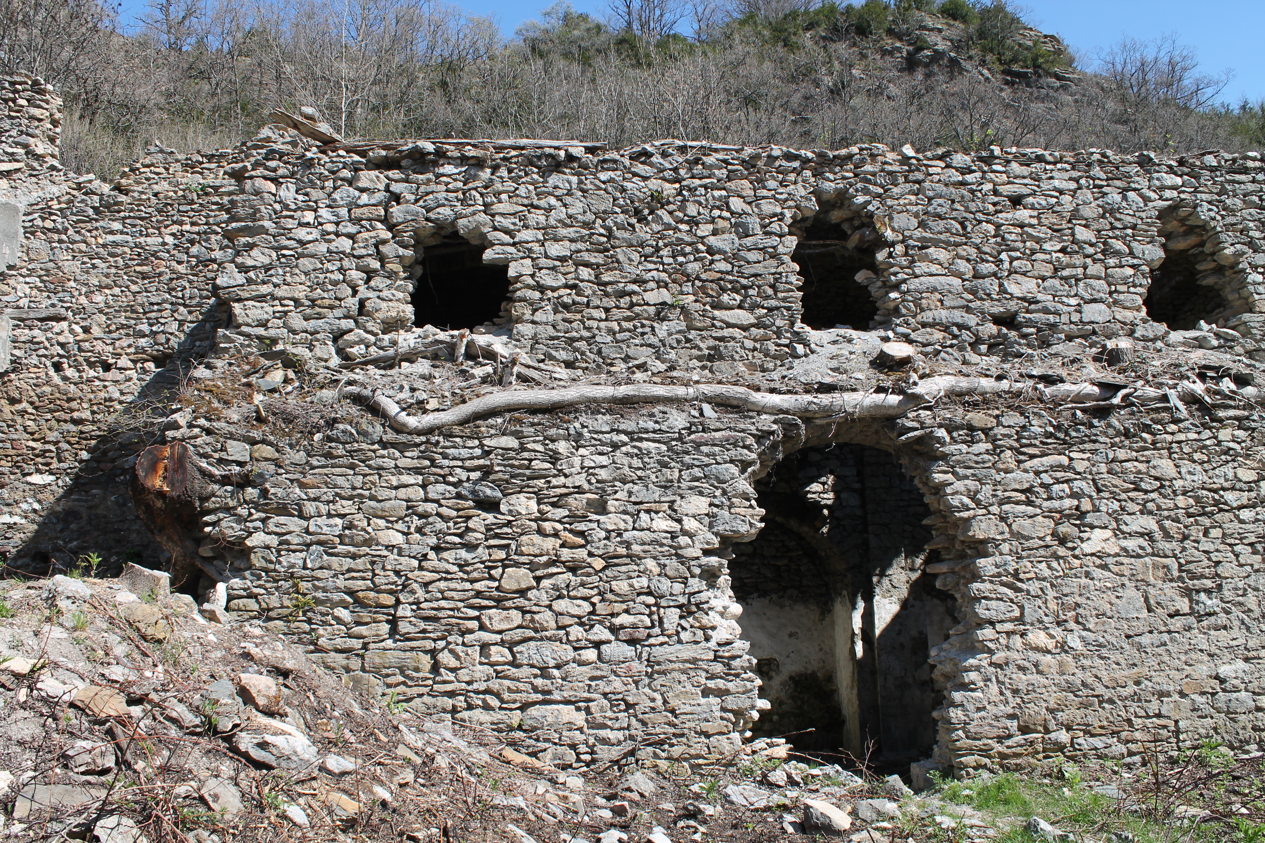Tronco en fachada (Octubre 2015)