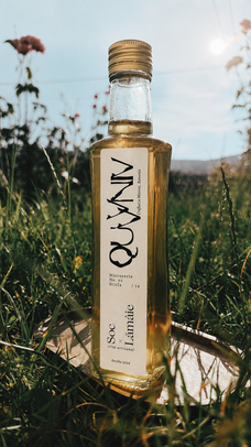 elderflower syrup