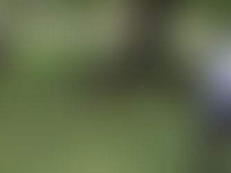 ECV Running Club - August 2023