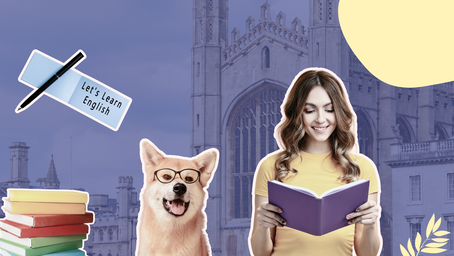 5 great books to learn English grammar with a smile