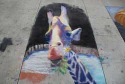 Bloom N Chalk Fest