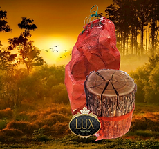 1_1_-white-bg-+-shadow-designify__2_-removebg-preview (2).png