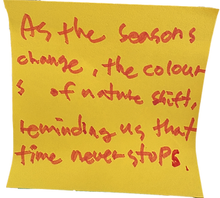 IMG_4273 copy 2.png