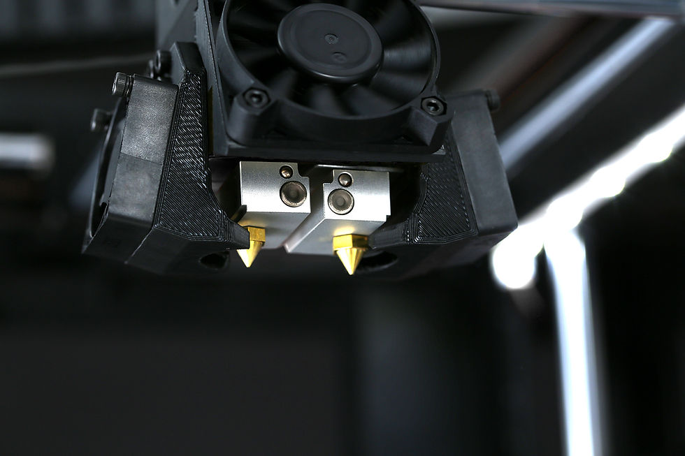 Miniatyrbilde: Raise3D Pro2