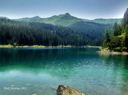 IMG_0689.jpeg