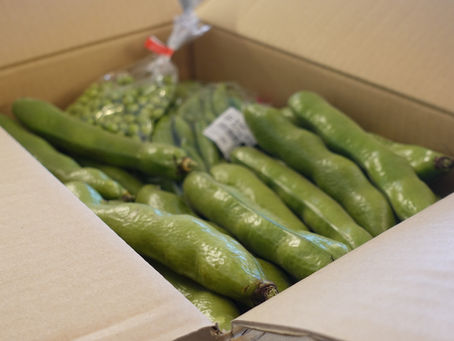 グリーン宅急便