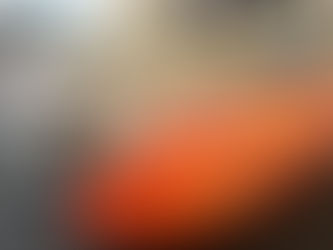 そうだ豊洲に行こう、新しい仕入先に感謝です