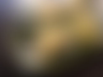 春の皿には苦みを盛れ。ねぼけた身体にカツを入れる?
