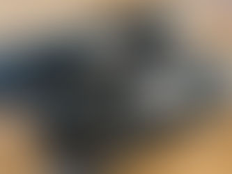 入手困難な日高昆布の最高峰「井寒台」に再会