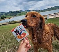 WhatsApp Image 2026-02-02 at 10.43.29 a.m. (3).jpeg