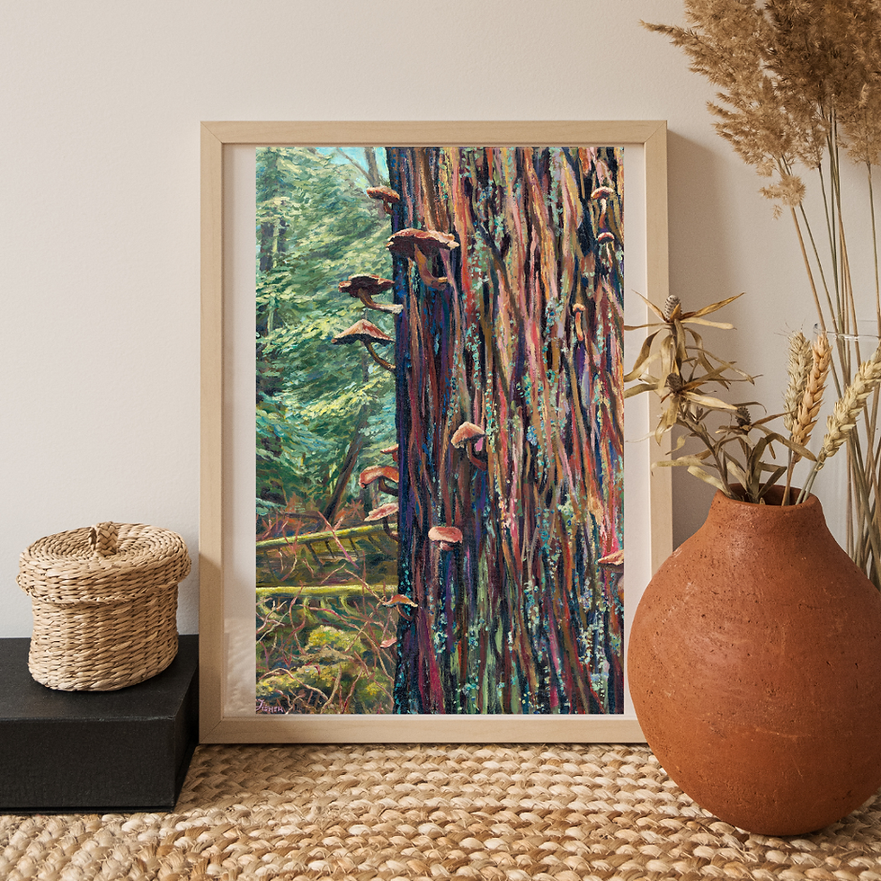 Thumbnail: Mushrooms at Mundy Park