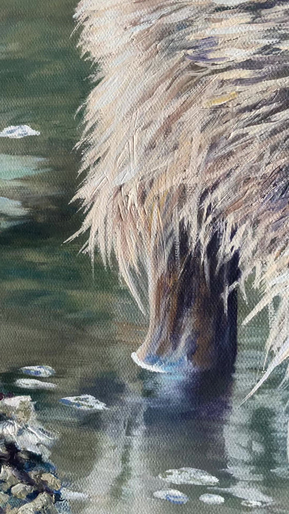 Thumbnail: Tidal Forager