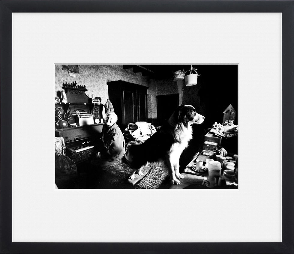 Thumbnail: HANNAH HAUXWELL AT HOME