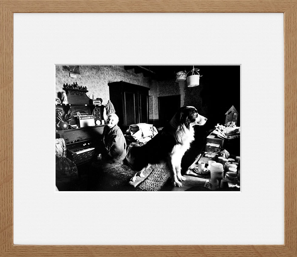 Thumbnail: HANNAH HAUXWELL AT HOME