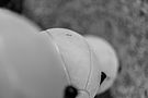 IMG_8695.jpg