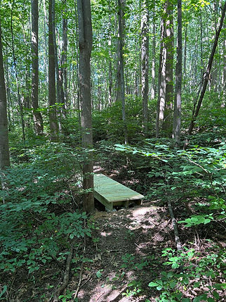 A bridge on the woodland trail at Meadowlark Ridge