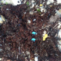 Abstract iPhone photogaphy by Philippe Halaburda