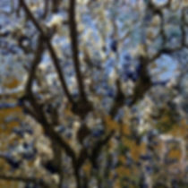 Abstract iPhone photogaphy by Philippe Halaburda