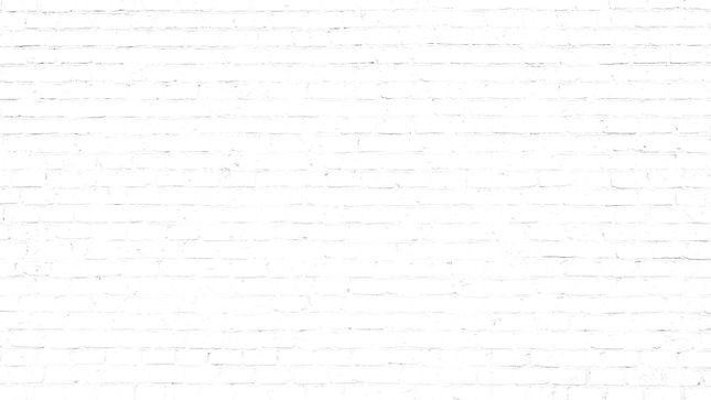 SEITENHINTERGRUND BRICKWALL .jpg