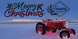 Merry-Christmas_Gussey-Farms.jpg
