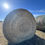 Thumbnail: Lot A - 2025 Grass/Alfalfa Hay - 64 Bales