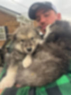 Man holding two fluffy grey puppies outside a brick house.
