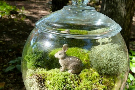 Etsy-Moss-Terrariums.jpeg