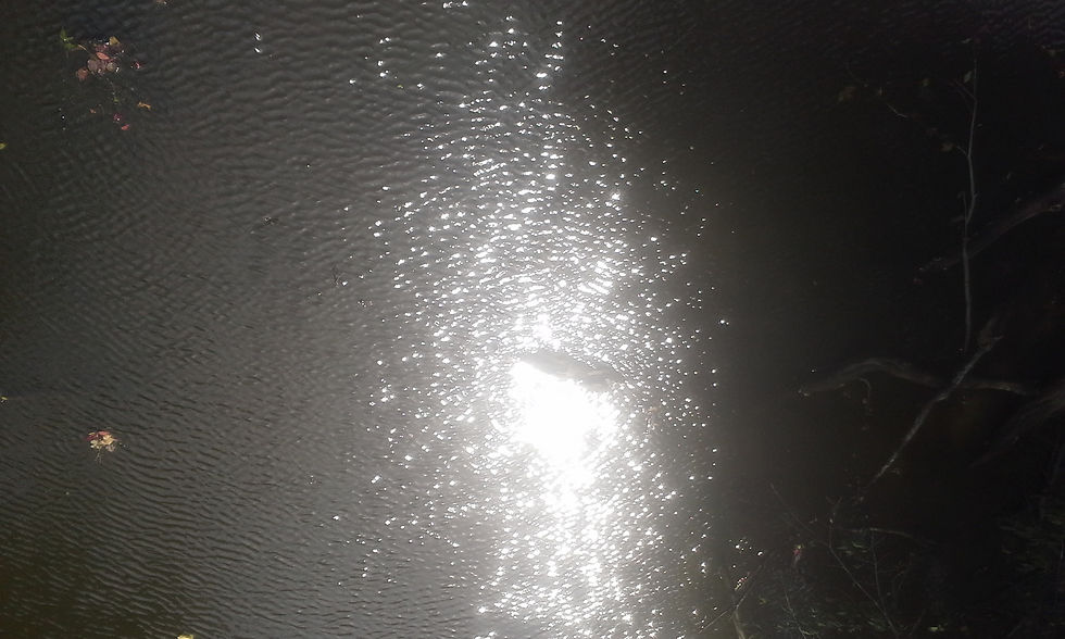 20140905_130510.jpg