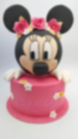 Minnie/Mickey ref#cak9